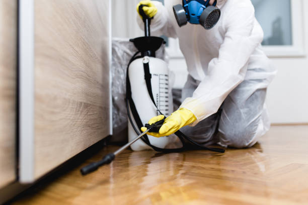 Best Pest Control Near Me in Somersworth, NH
