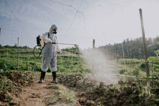 Best Affordable Exterminators  in Somersworth, NH