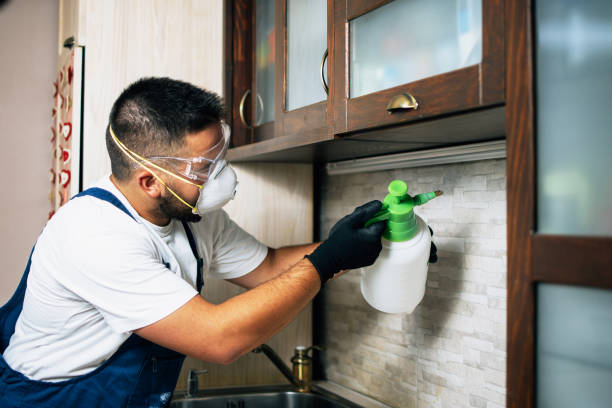 Best Pest Removal Services  in Somersworth, NH