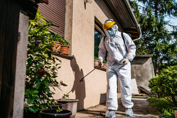 Best Cockroach Control Services  in Somersworth, NH