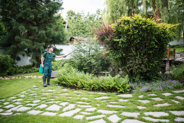 Best Wasp Removal Services  in Somersworth, NH