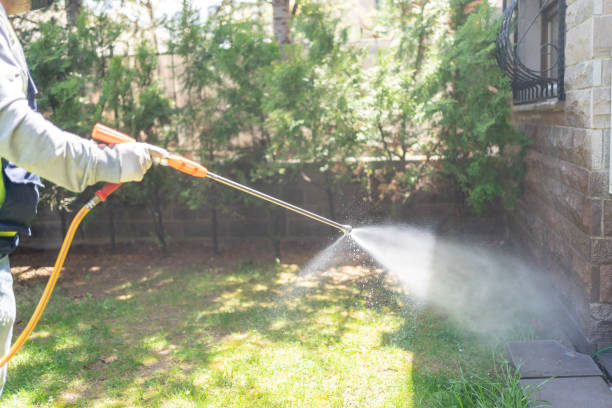 Best Termite Control Services  in Somersworth, NH