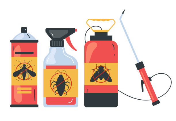 Best Pest Inspection Near Me  in Somersworth, NH