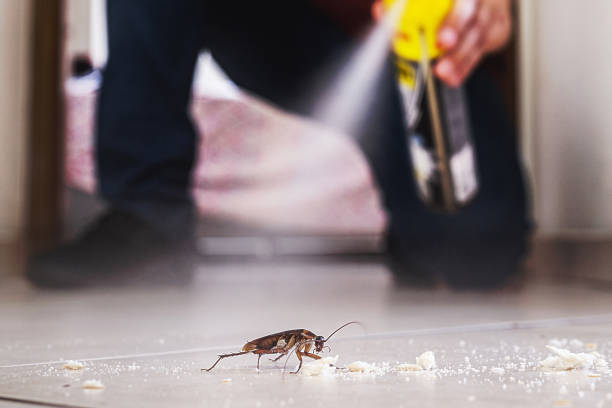 Best Emergency Pest Control  in Somersworth, NH