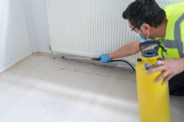 Best Pest Removal Services  in Somersworth, NH